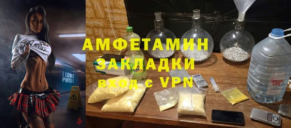 молекула духа Алексеевка