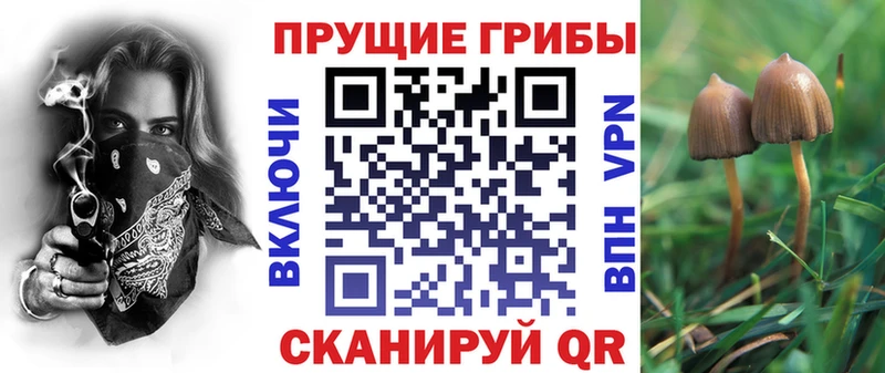 Псилоцибиновые грибы мицелий  Кропоткин 
